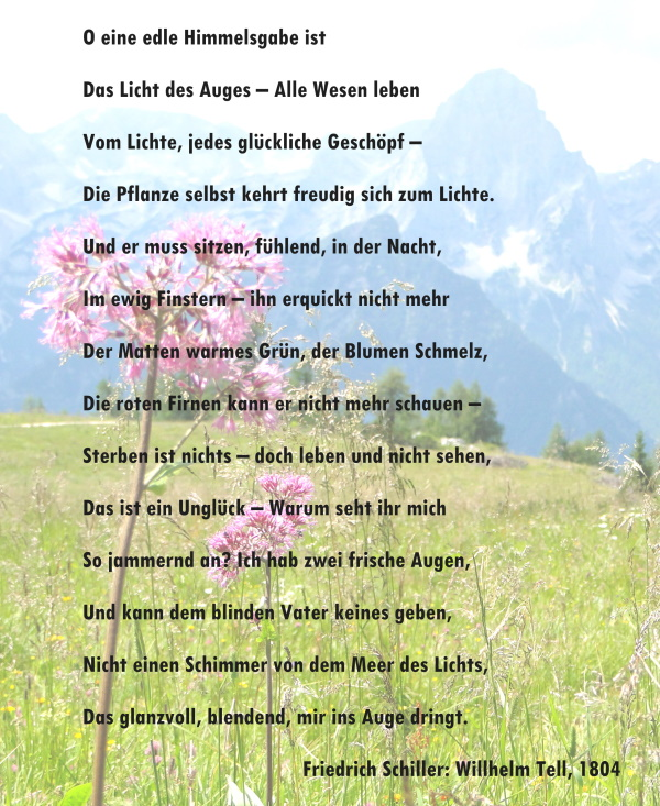 Gedicht von Schiller mit einem Foto von Bergen als Hintergrund: "O eine edle Himmelsgabe ist Das Licht des Auges - Alle Wesen leben Vom Lichte, jedes glückliche Geschöpf - Die Pflanze selbst kehrt freudig sich zum Lichte. Und er muss sitzen, fühlend, in der Nacht, Im ewig Finstern - ihn erquickt nicht mehr Der Matten warmes Grün, der Blumen Schelz, Die roten Firnen kann er nicht mehr schauen - Sterben ist nichts - doch leben und nicht sehen, Das ist ein Unglück - Warum seht ihr mich So jammernd an? Ich hab zwei frische Augen, Und kann dem blinden Vater keines geben, Nicht einen Schimmer von dem Meer des Lichts, Das glanzvoll, blended, mir ins Auge dringt." - Friedrich Schiller: Wilhelm Tell, 1804